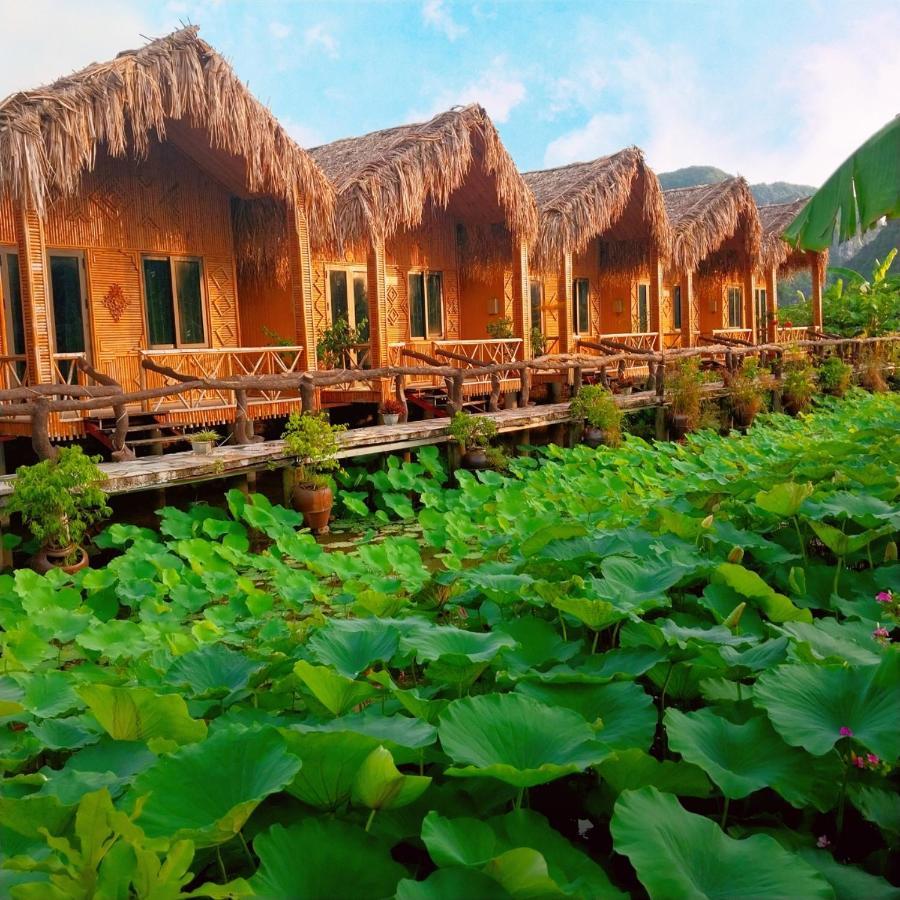 Hang Mua Lotus Homestay Ниньбинь Экстерьер фото