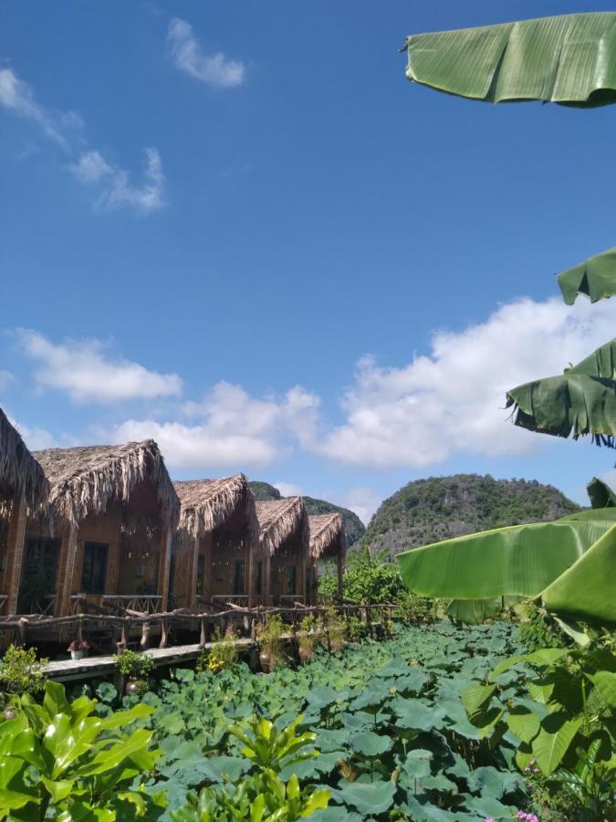 Hang Mua Lotus Homestay Ниньбинь Экстерьер фото