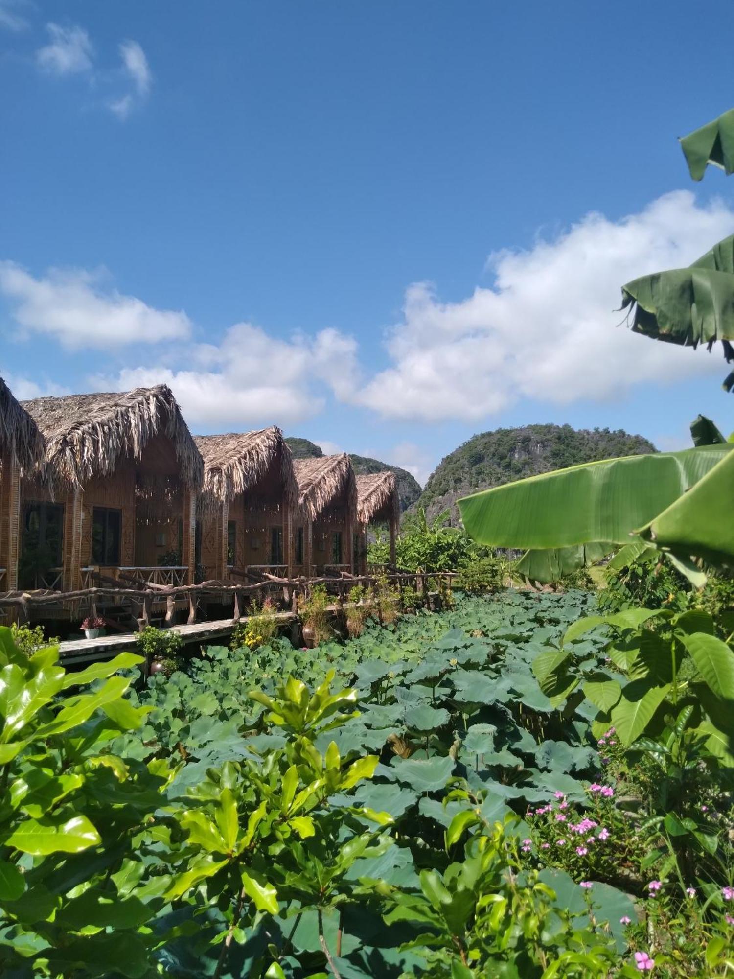 Hang Mua Lotus Homestay Ниньбинь Экстерьер фото